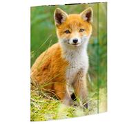 Rnk Verlag Carton À Dessin "Renard", Carton, A3