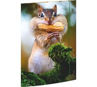 RNK Verlag Dossier de dessins "Chipmunk" DIN A3