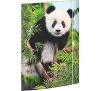 RNK Verlag Dossier de dessins "Panda" DIN A3