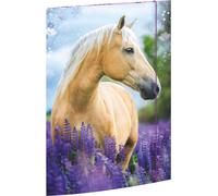 RNK Verlag Dossier de dessins "Rêves de chevaux" DIN A3