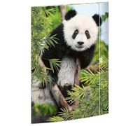 RNKVERLAG 45376 - Porte-documents Panda 310 x 440 mm, Porte-documents pour DIN A3, avec fermeture élastique, 1 pièce