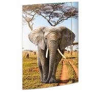 RNKVERLAG Dossier éléphant A3 310 x 440 mm avec fermeture élastique 1 pièce