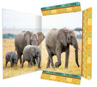 RNKVERLAG 45377 - Porte-documents Eléphant 310 x 440 mm, Porte-documents pour DIN A3, avec fermeture élastique, 1 pièce
