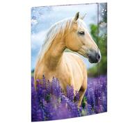 RNKVERLAG 45381 - Porte-documents Rêves de chevaux 310 x 440 mm, Porte-documents pour DIN A3, avec fermeture élastique, 1 pièce