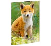 RNK Carton à dessin « Renard » – Carton, format A3