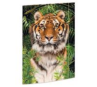 RNKVERLAG Tiger Porte-documents avec fermeture élastique 310 x 440 mm - Dossier - A3 - Multicolor - 1 Stück - 100 feuilles - Carton - 100% recyclable