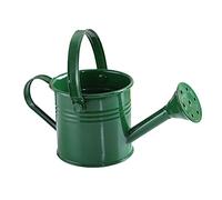 RNSUNH Lot de 2 mini arrosoirs en métal avec poignées pour plantes d'intérieur et d'extérieur, 7,5 x 15 cm