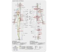 RNUMLIGH Acupuncture Meridian Chart Five Elements Theory Yin Yang Poster Metal Aluminum Sign for Holistic Health Clinic Room Office Wall-Art 8 X 12 inch