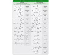 RNUMLIGH Biology Chart Amino Codon Table Poster for Research Office Classroom Decor Modern Science Art Gift for Graduation(Framed,08x12inch(20x30cm))