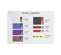 RNUMLIGH BJJ Belt Progression Chart Poster Brazilian Jiu Jitsu Ranking System Wall-Art for Grappling Gym Dojo Decor Martial Arts Academy Training Room(Framed,12x18inch(30x45cm))