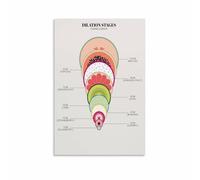 RNUMLIGH Cervical Dilation Stages Print - Medical Education Wall Chart for Childbirth, Midwifery Reference and Science Class Decor(Framed,16x24inch(40x60cm))