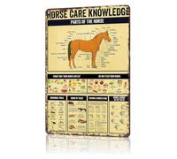 RNUMLIGH Classic Vintage Tin Sign Horse Training Basics English Riding Style Cafe Tack Room Decor 8 X 12 inch