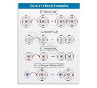 RNUMLIGH Covalent Bond Examples Chart Chemistry Visual Learning Guide Educational Science Poster for School Study(Unframed,16x24inch(40x60cm))