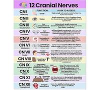 RNUMLIGH Cranial Nerves Study Guide Metal Sign Color Coded Chart for Neurology and Anatomy Educational Poster Student Decor 8 X 12 in