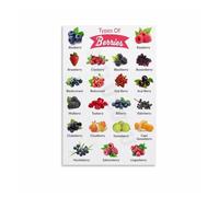 RNUMLIGH Edible Berries Reference Chart Poster, Canvas Wall-Art for Kitchen, Garden, Home Chef, Healthy Eating, Shower Gift Decor(Unframed,12x18inch(30x45cm))