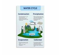 RNUMLIGH Educational Home Decor - Water Cycle Science Poster Canvas Print for Room, Study & Nature Inspired Wall-Art(Unframed,12x18inch(30x45cm))