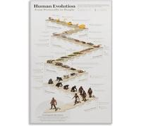 RNUMLIGH Educational Wall-Art Human Evolution Chart Poster Evolutionary Journey Guide for Classroom Office Study Room(Framed,08x12inch(20x30cm))