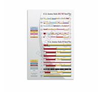 RNUMLIGH Electronics Frequency Spectrum Chart Radio Bands Reference Guide Educational Wall-Art for Workshop Ham Shack Decor(Unframed,16x24inch(40x60cm))