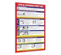 RNUMLIGH First Aid Information Poster - Quick Guide to CPR and Choking, Laminated Chart for Home & Office Use(Framed,12x18inch(30x45cm))