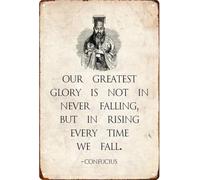 RNUMLIGH Funny Confucius Quote About Glory Retro Tin Sign for Kitchen Bar Study Room Wall Hanging 8 X 12 in