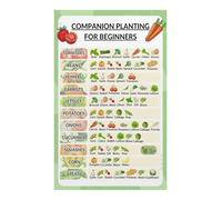 RNUMLIGH Herb Garden Companion Planting Poster Vegetable Pairing Guide Cheat Sheet for Raised Beds Indoor Outdoor Gardening Reference Chart(Unframed,08x12inch(20x30cm))