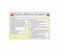 RNUMLIGH Horse Health and Wellness Poster, Respiratory Care Tips Knowledge Chart for Equestrian Enthusiast Gift(Framed,08x12inch(20x30cm))