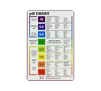 RNUMLIGH Kitchen Science Decor pH Food Chart Poster Alkaline Guide Educational Canvas Wall-Art for Home or School(Unframed,12x18inch(30x45cm))