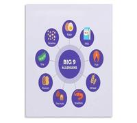 RNUMLIGH Major Food Allergens Poster Allergy Chart Canvas Print for Commercial Kitchen and Restaurant Decor(Framed,08x12inch(20x30cm))