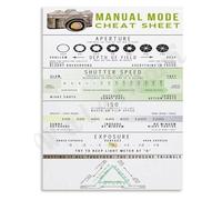 RNUMLIGH Photography Manual Mode Cheat Sheet Poster Aperture ISO Shutter Speed Guide Canvas Art(Framed,08x12inch(20x30cm))