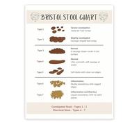 RNUMLIGH Poop Chart Educational Poster Bristol Stool for Digestive Health Bowel Movement Consistency Guide(Unframed,16x24inch(40x60cm))