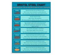 RNUMLIGH Poop Chart for Health Monitoring, Bristol Stool Types Educational Canvas Art for School, Patient Education, Home Care(Unframed,16x24inch(40x60cm))