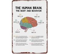 RNUMLIGH Science Education Human Brain Structure Knowledge Vintage Retro Aluminum Metal Sign Wall-Art for Classroom Office Home 8 X 12 in