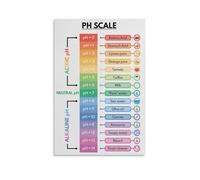 RNUMLIGH Scientific PH Scale Canvas Print, Educational Chemistry Poster, Decorative Wall-Art for Study, Living Room(Unframed,16x24inch(40x60cm))
