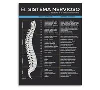 RNUMLIGH Skeletal Nerve Metal Sign Spinal Column Vertebra Disc Exit Function Diagram for Anatomy Professor Lecture Research Office Decor 8 X 12 inch