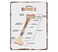 RNUMLIGH Skeleton Bone Structure Educational Metal Sign Anatomy Wall-Art for School Clinic 8 X 12 in