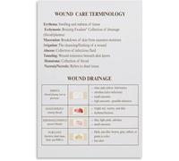 RNUMLIGH Skin Anatomy Educational Poster Layers Of The Biology Science Chart For Study Classroom Office Decor(Framed,08x12inch(20x30cm))