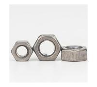 RNUMLIGH TA2 M1 M1.4 M1.6 M2 M2.5 M3 M4 M5 M6 M24 Pure and Alloy Hex Nuts (Titanium M18 1PCS)