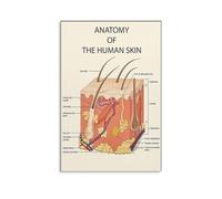 RNUMLIGH The Human Skin Map, Complete Anatomy Poster for Estheticians, Clear & Laminated Reference Guide for Facial Spa, Salon, Beauty Studio Decor(Unframed,08x12inch(20x30cm))