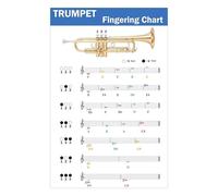 RNUMLIGH Trumpet Fingering Chart Color Coded Notes Poster for Beginners to Advanced Players Practice Room and Band Decor(Framed,12x18inch(30x45cm))