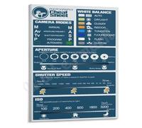 RNUMLIGH Ultimate Photography Cheat Sheet Poster Quick Reference Guide Wall-Art for All Camera Settings Studio Classroom Home Office(Framed,08x12inch(20x30cm))