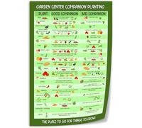 RNUMLIGH Vegetable Companion Planting Guide Garden Layout Plant Combinations Chart For Pest Control Gardeners(Framed,16x24inch(40x60cm))