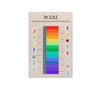 RNUMLIGH Vintage pH Scale Poster, Acids and Bases Chemistry Chart, Retro Science Classroom Decor for, Teachers, Study(Framed,08x12inch(20x30cm))