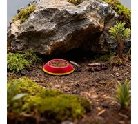 Roaches Feeder - ABS 3.4x2.6x0.5cm | Roach Feeder Isopod Food Tray | Non-Slip Terrariums Feeding Tray for Reptiles Pets Habitat Use