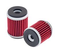 Road Passion 2*Filtre à huile Compatible avec YAMAHA Yfm250 Raptor 249 2008-2013/ Yfm250 Raptor se 249 2008/ Yfm250r Raptor 249 2011/ Ybr250 250 2008-2012/ Yfz450 BILL BALLANCE EDITION 450 2007
