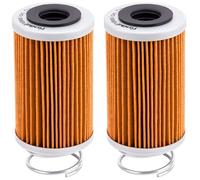 Road Passion 2 pièces Filtre à huile 8000B5290 8000B3439 Compatible avec MV Agusta Brutale 920 2011 2012 / F4 1000 2010-2016 / F4 1000 RC A 2015-2019 / F4 1000 RR 2012-2018 / Rush 1000 2020-2021