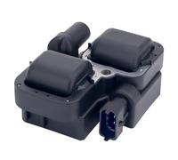Road Passion 420266070 278001546 Bobine D'allumage pour Moteur Compatible avec Can-am Renegade 500 2008-2015 / Renegade 800 2007-2008 / Renegade 800 R 2009-2015 / Spyder RT Roadster 990 2010-2012