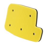 Road Passion Filtre à air 0470-494 0470-663 FS-932 NU-8603ST-AD Compatible avec Arctic Cat 400 4x4 TRV Plus Automatic 2007/400 TRV 2014/500 4X4 2005-2009/500 4x4 Automatic 2005-2009