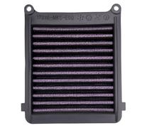 Road Passion Filtre à air 17210-MKS-E00 Compatible avec Honda NT1100 AM,AN,AP,AR,AS 2021 2022 2023 2024 2025 /NT1100 DM,DN,DP,DR,DS DCT 2021-2025 /NT1100 DES Electronic Suspension 2025 (1 PC)