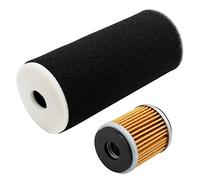 Road Passion Filtre à air, avec kit filtre à huile Remplace pour Raptor 350 YFM350R 2005 2006 2007 2008 2009 2010 2011 2012 2013,Raptor 350 YFM350RSE Special Edition 2005 2006 2007