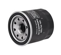 Road Passion Filtre à l'huile Filter Compatible pour Indian Chieftain 2014-2018 Chieftain Classic 2018-2019 Chieftain Dark Horse 2017-2019 Chieftain Elite 2017-2018